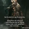 hoangvu77770