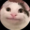 tuvfivfid475434