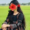 nisita246