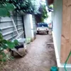 jeanscheid7