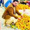 kamranjani6729