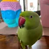 luiza.bueno671