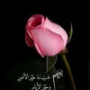 user8215488515083