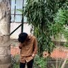 chuza.554