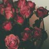 mar_sl_in