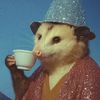 The Opossum Witch