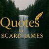 scard113