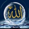 hananyousssef1