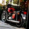 _denis_8472