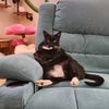 talullah.batfarts