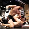 elhamfight