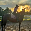 kaja_equestriannnn