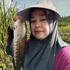 acil.paunjunan8