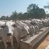 jhony123456782