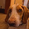 rebecca_clawson205