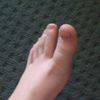 dinglebamm.the.2n