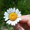 marwa.tarek65