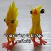 lychuot00