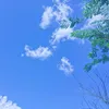 my_ngoc_1220