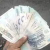 nguyn.c.vt