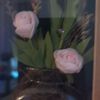 johannebouchard09gmail.c