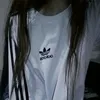 dasssa66