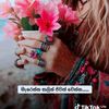 user7129106359133