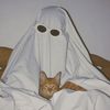 ズäﾶﾑﾚåWﾑ刀.ｱんö