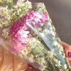 sitifatmah000
