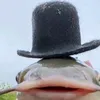 frechi_offc