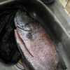 kusumawjaya9
