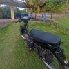 zynn46978