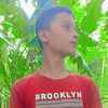 sk.simul71