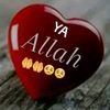 user51557841454143