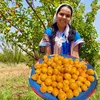 Fouzia 🇲🇦farmlife