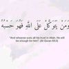 user5221905740317