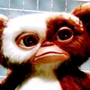 gremlins7558