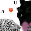 anuu7163