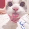 lody_luv2