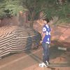 saif.elghoul