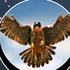 adohawk