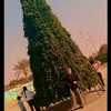 aa_mm.99