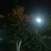 ziad.samy02