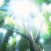 thichsubaru