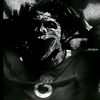 dereck_veliz