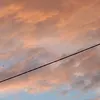 joellry_
