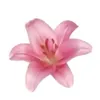 ly.hoi.jing