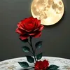 user16960912808008