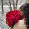 aseel200046