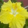 _kaneez_43